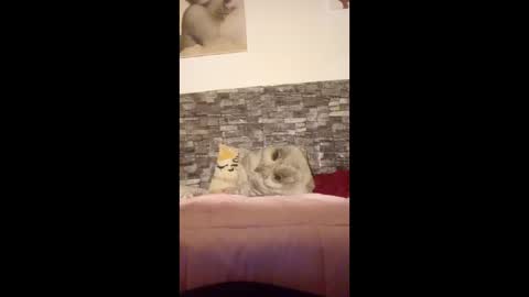 Snapshot of romylachienne chatting on 18, 1, 2026 romylachienne online show from 18, 1, 2026