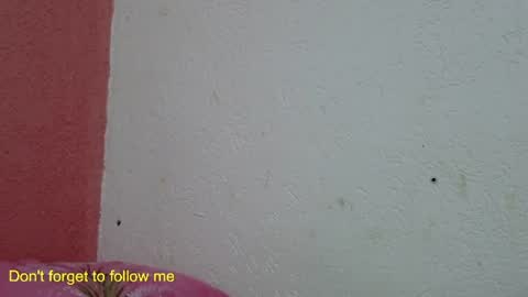 ronny online show from 31, 1, 2025