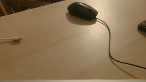 roridory online show from 7, 11, 2025