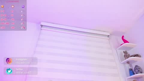   online show from 16, 1, 2025