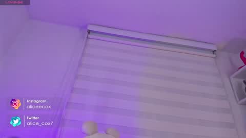   online show from 24, 1, 2025