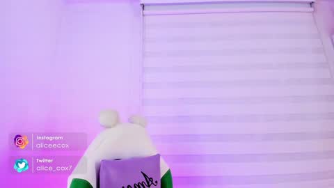   online show from 29, 1, 2025