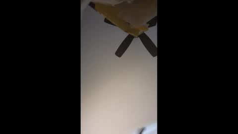 No More Vanilla online show from 2, 4, 2026