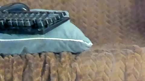 rouse_sexy_hotxx77 online show from 14, 6, 2026