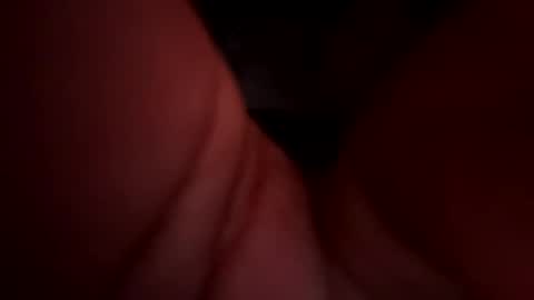 Royal SF online show from 15, 12, 2024