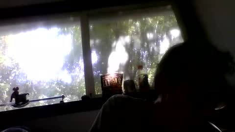 Snapshot of royboy2561 chatting on 26, 5, 2026 Roy Murrin online show from 26, 5, 2026