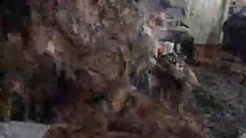 Richhancocc online show from 5, 4, 2026