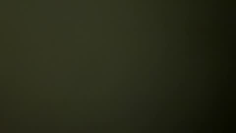 Snapshot of rsxxx130 chatting on 19, 2, 2025 ireneTxCD online show from 19, 2, 2025