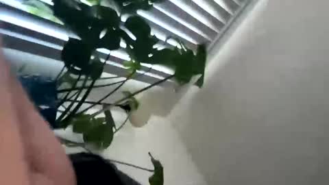 Snapshot of rula___1 chatting on 4, 2, 2026 rula___1 online show from 4, 2, 2026