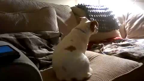 Snapshot of rustyx22 chatting on 18, 10, 2025 Rusty online show from 18, 10, 2025