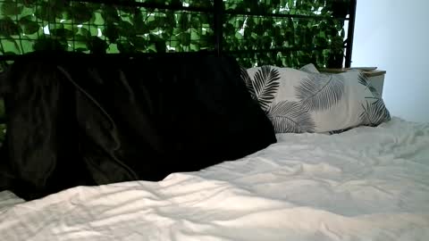 ryanstorm1 online show from 31, 1, 2026