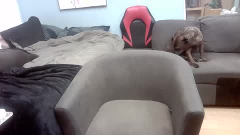 Snapshot of ryanteedaddy chatting on 1, 11, 2025 Ryan Tee online show from 1, 11, 2025