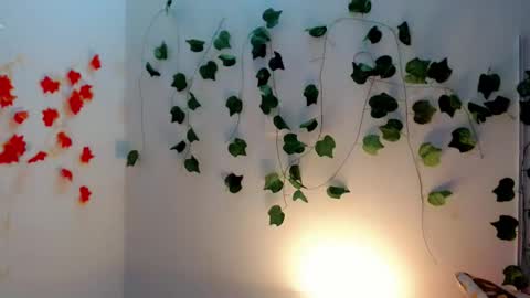 SABRI online show from 28, 1, 2025