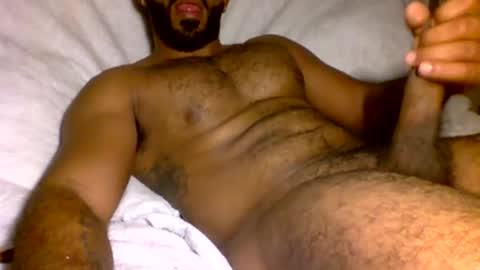 SD17 online show from 31, 1, 2025