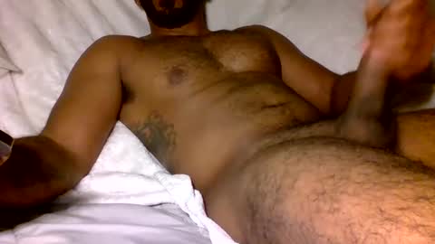 SD17 online show from 25, 2, 2025