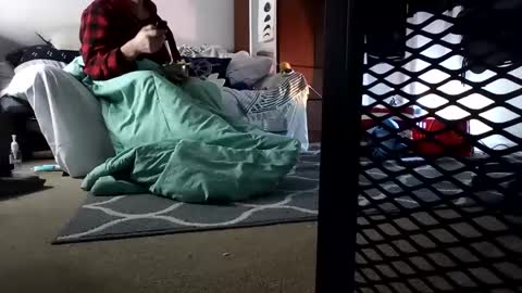 salis1981 online show from 7, 2, 2025