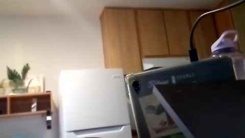 salis1981 online show from 6, 10, 2025