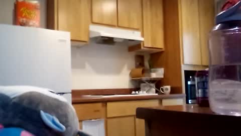 salis1981 online show from 18, 12, 2025