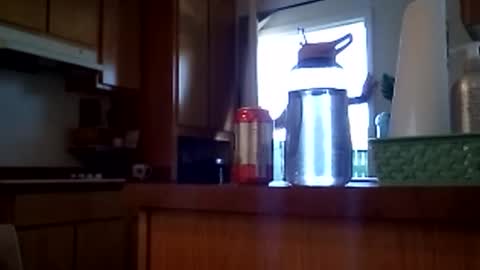 salis1981 online show from 12, 2, 2026