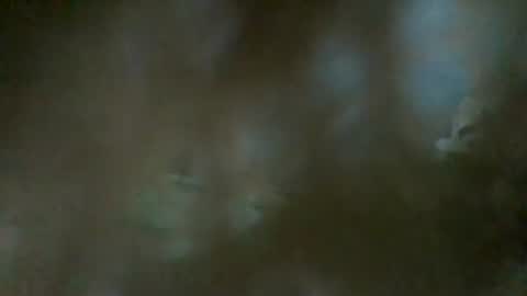 Snapshot of sam223382879 chatting on 1, 1, 2025 sam223382879 online show from 1, 1, 2025