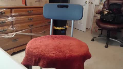 Sammy online show from 21, 9, 2025