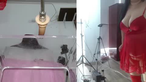 SAMMY online show from 1, 2, 2025