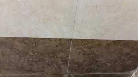 Snapshot of samnivin chatting on 1, 11, 2025 samnivin online show from 1, 11, 2025