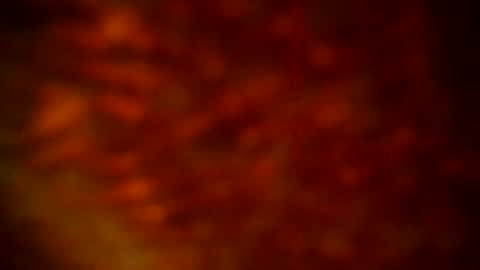 samueltal online show from 22, 9, 2025