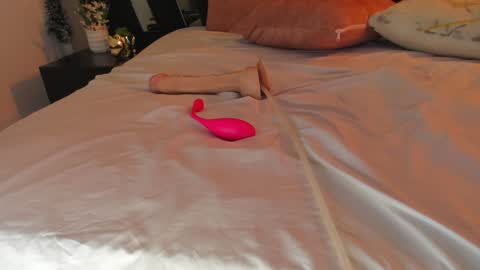 Snapshot of samy_ross_ chatting on 17, 12, 2024 Find me at when im offline here. online show from 17, 12, 2024