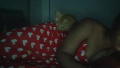 sapgaal online show from 17, 1, 2026