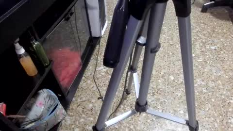 sara_salgado online show from 11, 2, 2026