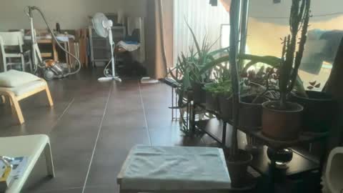 Snapshot of sarafossette chatting on 29, 6, 2026 Sara Fossette online show from 29, 6, 2026