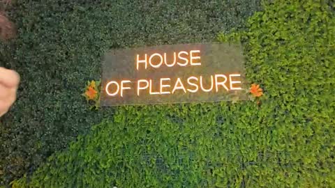 Sarah Bonneth online show from 14, 3, 2026