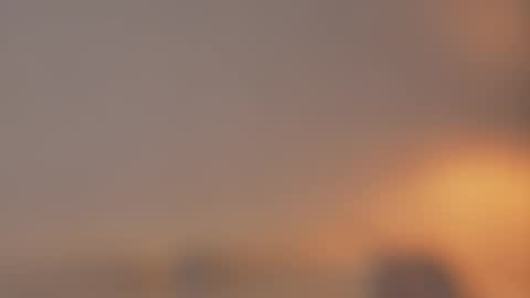       online show from 25, 3, 2026