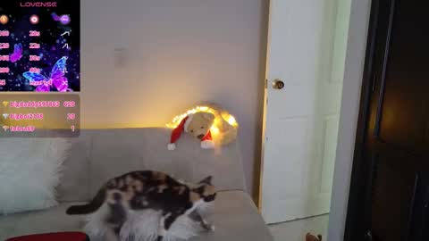 Saritha online show from 22, 3, 2026