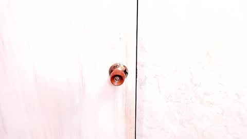 Sasha  online show from 2, 11, 2025