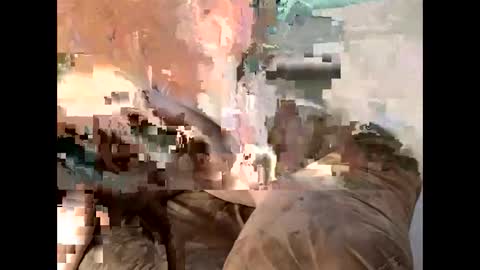 Snapshot of sassycedar chatting on 7, 3, 2025 Cedar online show from 7, 3, 2025