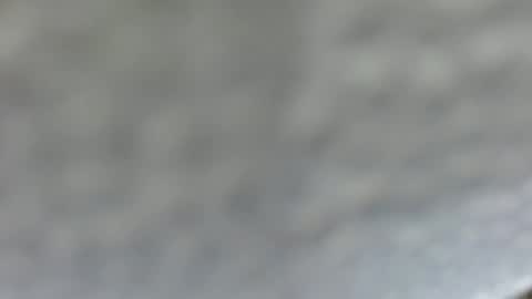 sassygirl_elliexx online show from 15, 6, 2026