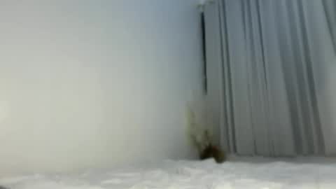 sassykayla online show from 15, 5, 2026