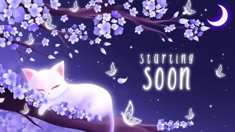 Snapshot of sassykittyn chatting on 20, 1, 2025 Sassy Sami Kittyn online show from 20, 1, 2025