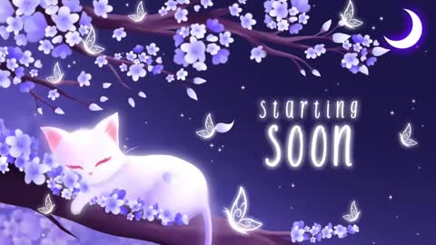 Snapshot of sassykittyn chatting on 17, 2, 2025 Sassy Sami Kittyn online show from 17, 2, 2025