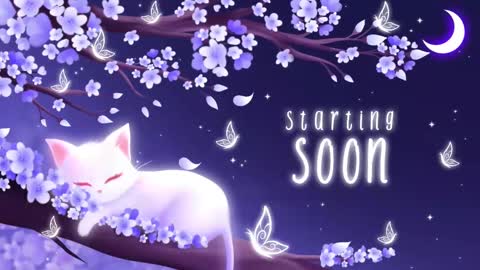 Snapshot of sassykittyn chatting on 21, 10, 2025 Sassy Sami Kittyn online show from 21, 10, 2025