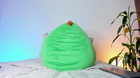     online show from 14, 11, 2025