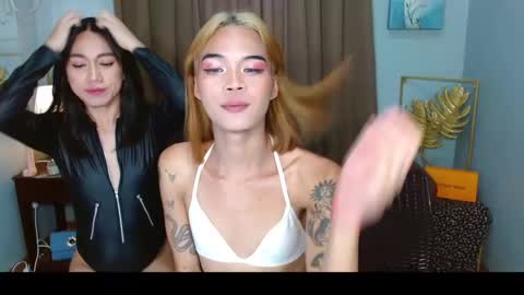 Sasha online show from 1, 12, 2024