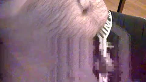 sato58264 online show from 18, 5, 2026