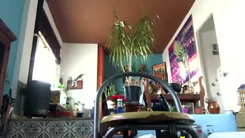 satur850 online show from 5, 12, 2024