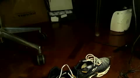 Sbamx online show from 11, 12, 2024