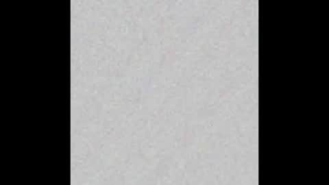 Venus online show from 17, 2, 2025