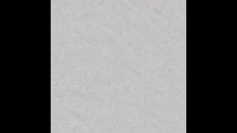 Venus online show from 19, 10, 2025