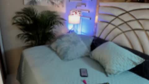 scarlet hill online show from 12, 1, 2025